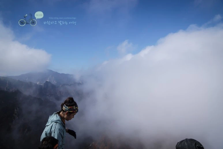 DSC05513_wide1080mark.jpg?type=w773