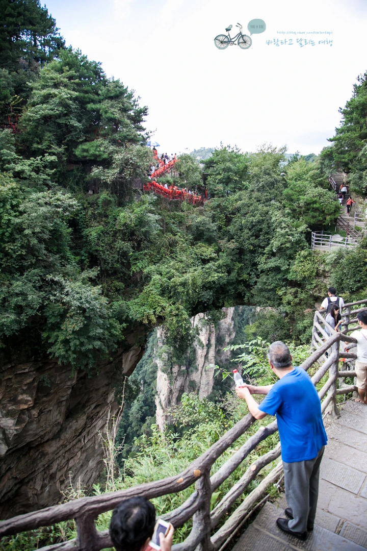 IMG_1261_Wide1080mark%EB%B0%94%EB%9E%8C.jpg?type=w773