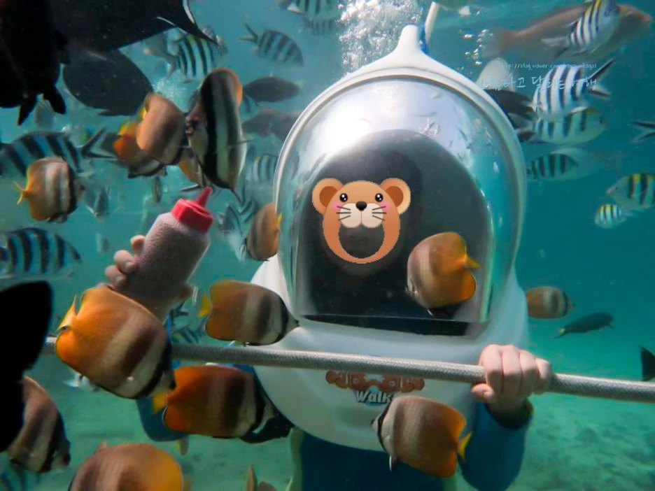 SE-8dce9190-0d1f-41af-949e-5b37a3a17993.jpg?type=w1