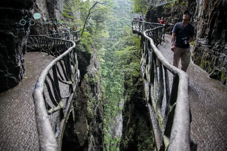 IMG_0202_Wide1080mark%EB%B0%94%EB%9E%8C.jpg?type=w773