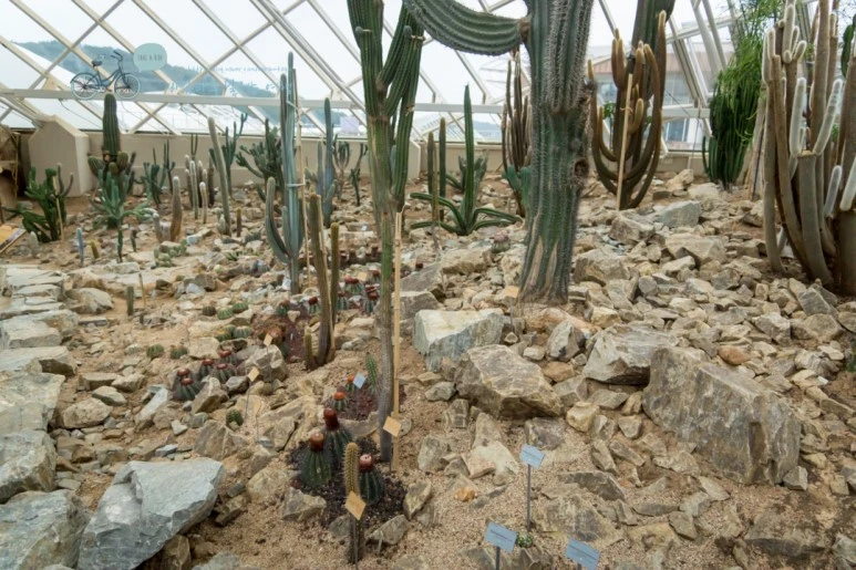 DSC03763_Wide1080.jpg?type=w773