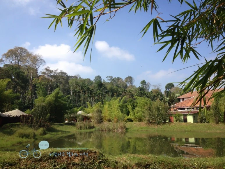 IMG_2825.jpg?type=w773