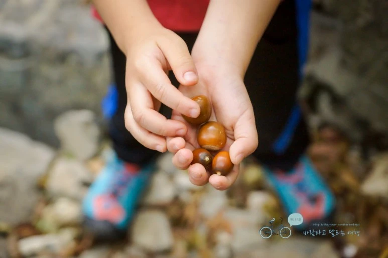 DSC04371_wide1080mark.jpg?type=w773