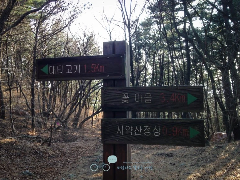 IMG_1206-_Wide1080mark%EB%B0%94%EB%9E%8C.jpg?type=w773