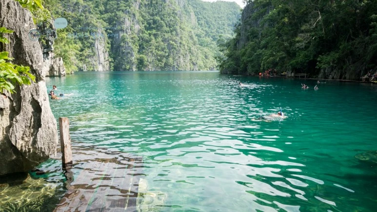 _1020043_Wide1080mark%EB%B0%94%EB%9E%8C%ED%83%80%EA%B3%A0.jpg?type=w773