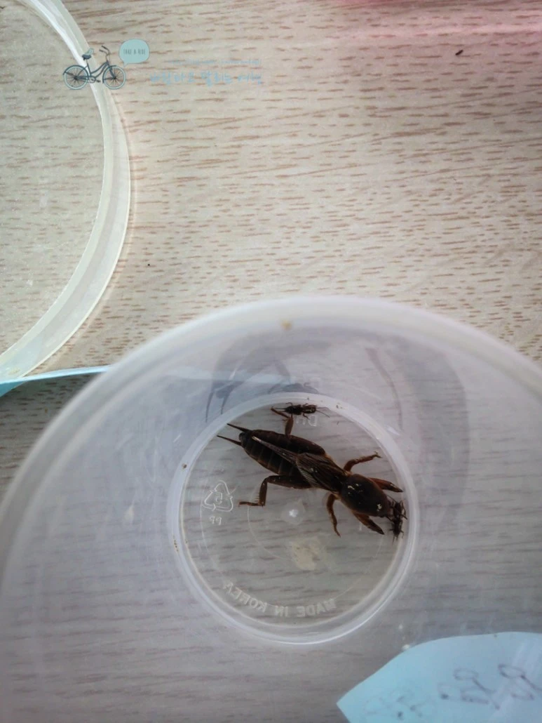 IMG_1036_wide1080mark.jpg?type=w773