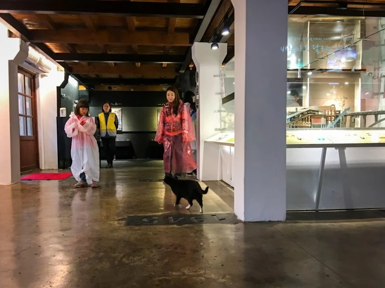 iPhone_IMG_3817_Short1200mark%EB%B0%94%EB%9E%8C.jpg?type=w773