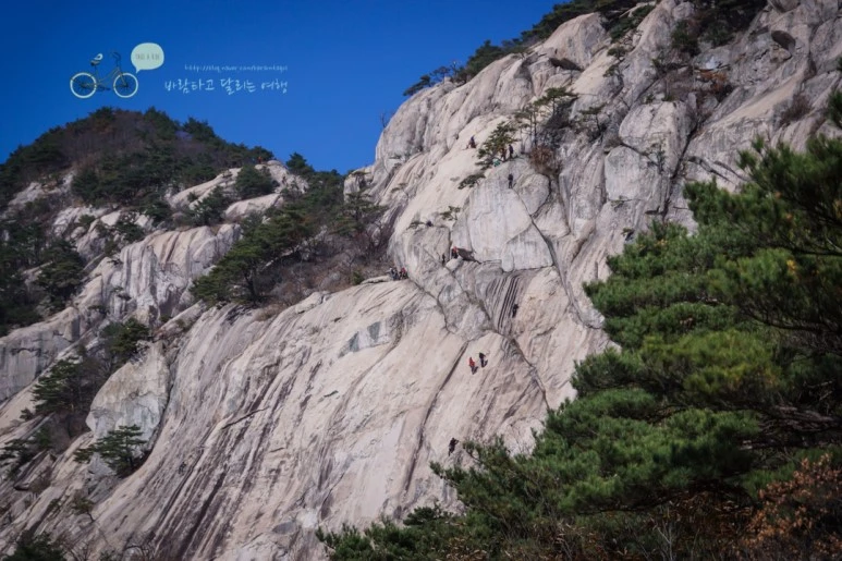 DSC05919_wide1080mark.jpg?type=w773