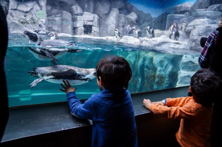 DSC00290_2.jpg?type=w773