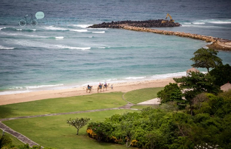 IMG_0162%EC%B9%B4%EB%A9%9C%EB%9D%BC%EC%9D%B4%EB%94%A9_Wide1080mark%EB%B0%94%EB%9E%8C%ED%83%80%EA%B3%A0.jpg?type=w773