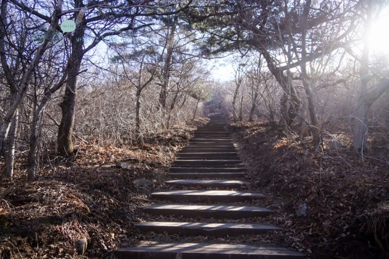 DSC04440_wide1080mark.jpg?type=w773