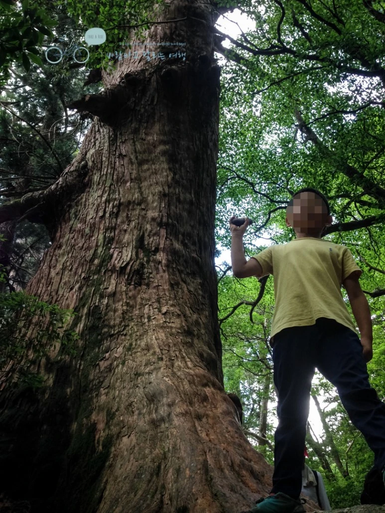 image_5497229401486446562038.jpg?type=w773