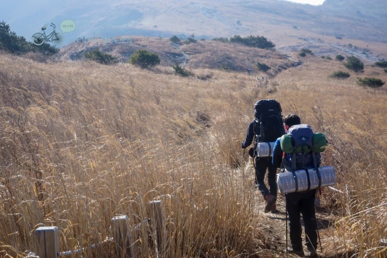 DSC04586_wide1080mark.jpg?type=w773