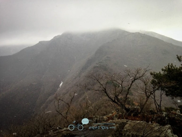 IMG_1967-_Wide1080mark.jpg?type=w773