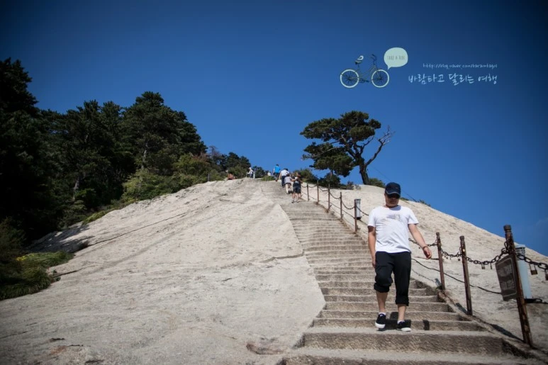 IMG_0286_Wide1080_mark%EB%B0%94%EB%9E%8C.jpg?type=w773