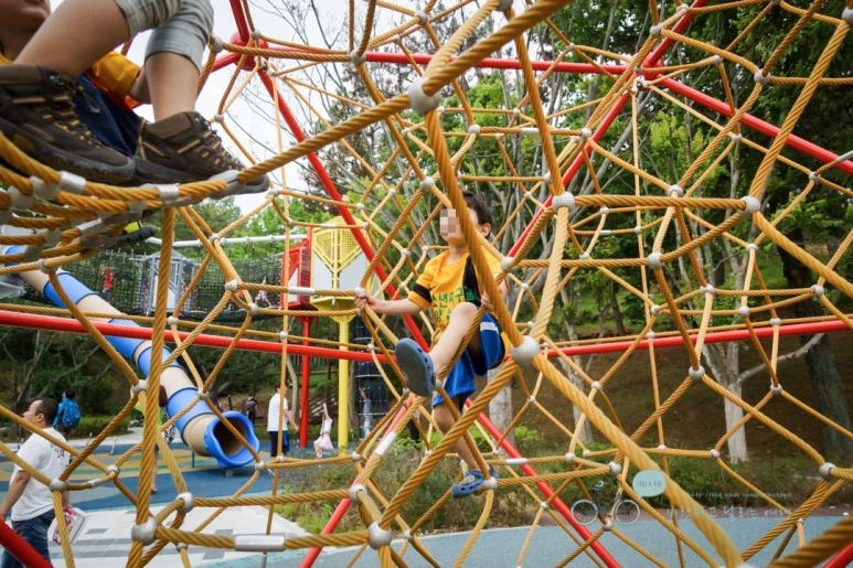 image_904939641477886890616.jpg?type=w773