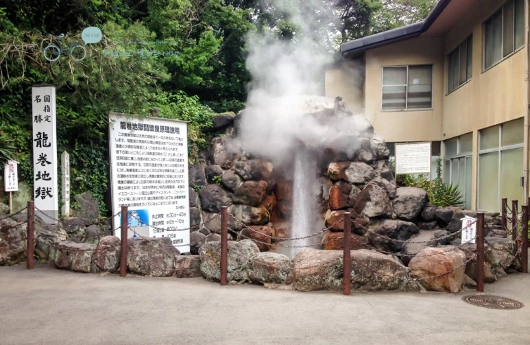 IMG_8168_wide1080mark.jpg?type=w773