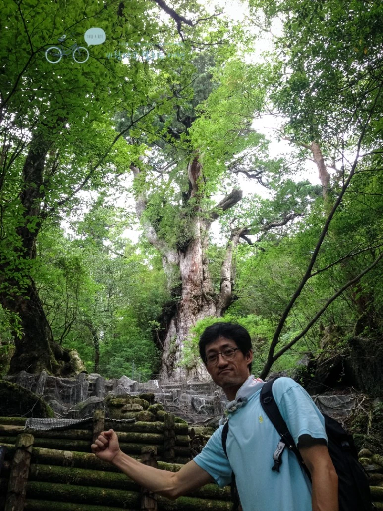 IMG_7963_wide1080mark.jpg?type=w773