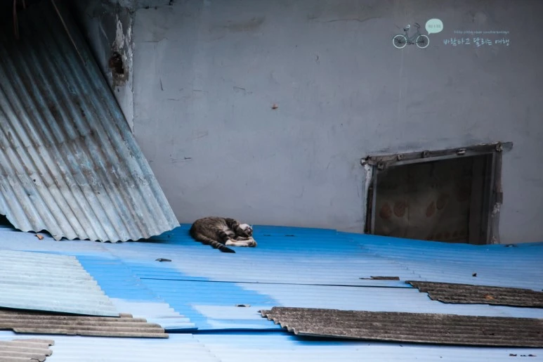 IMG_1122_Wide1080mark%EB%B0%94%EB%9E%8C.jpg?type=w773