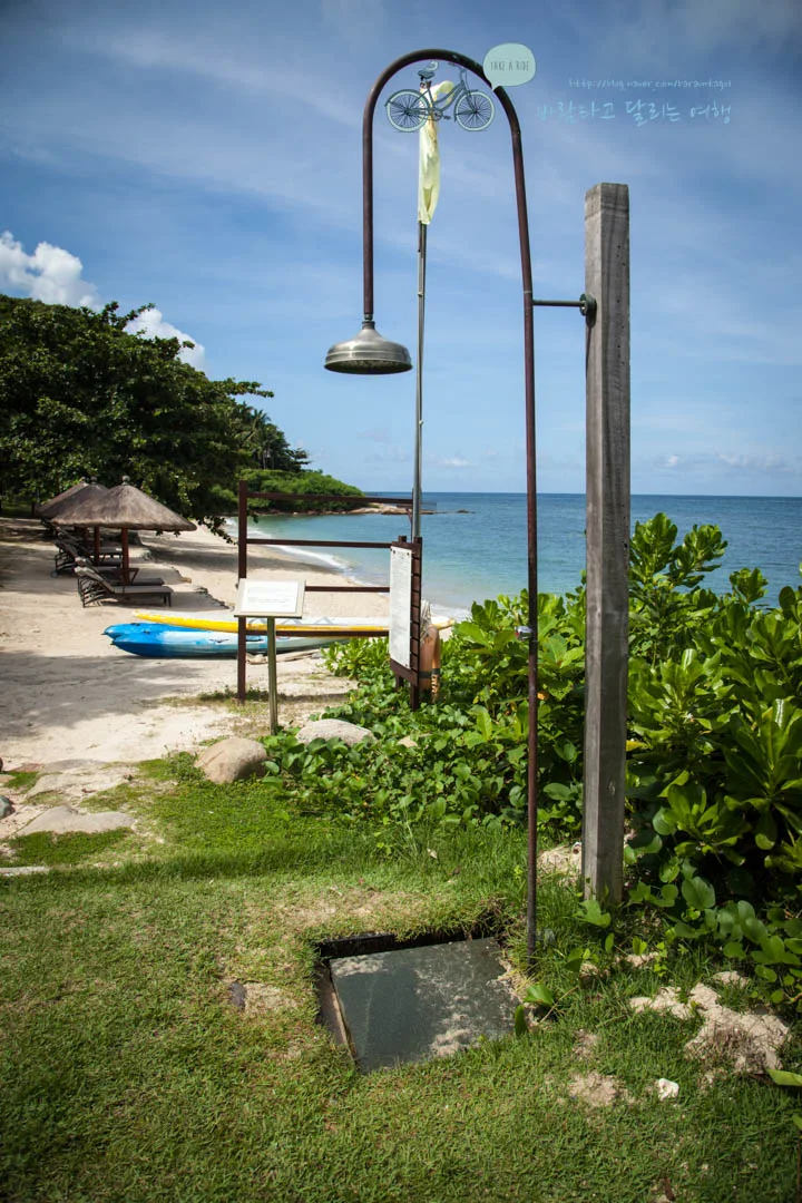 IMG_0172_wide1080%EB%B0%94%EB%9E%8Cmark.jpg?type=w773