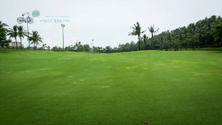 _1000545_wide1080_Wide1080mark_%EB%B0%94%EB%9E%8C.jpg?type=w773