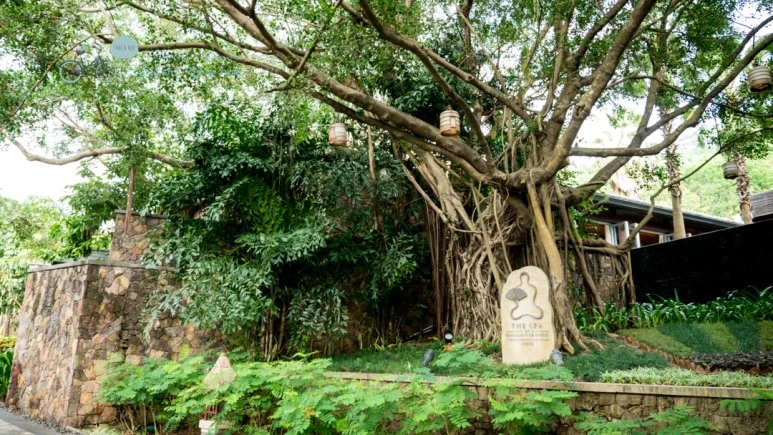 _1050485_wide1080mark.jpg?type=w773