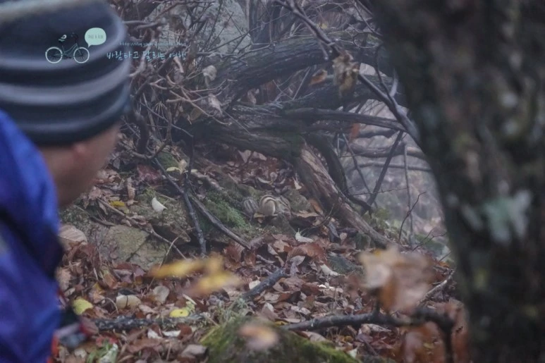 DSC05284_wide1080mark.jpg?type=w773