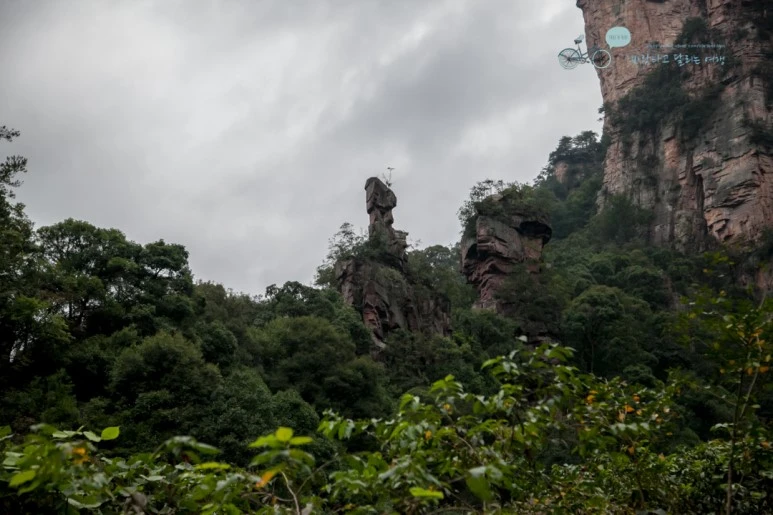 IMG_1096_Wide1080mark%EB%B0%94%EB%9E%8C.jpg?type=w773