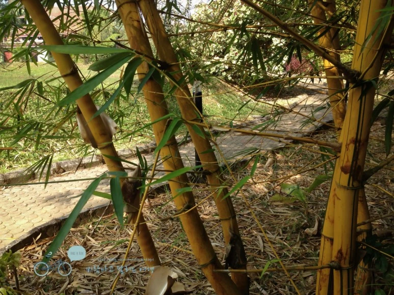 IMG_2826.jpg?type=w773