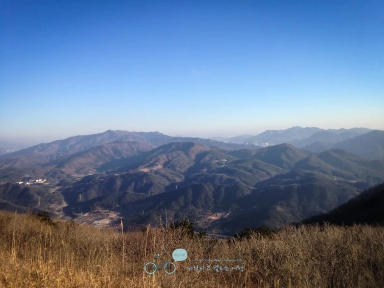 IMG_1399-_Wide1080mark%EB%B0%94%EB%9E%8C.jpg?type=w773