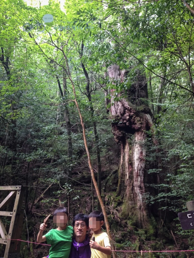 image_6618928581486356679466.jpg?type=w773