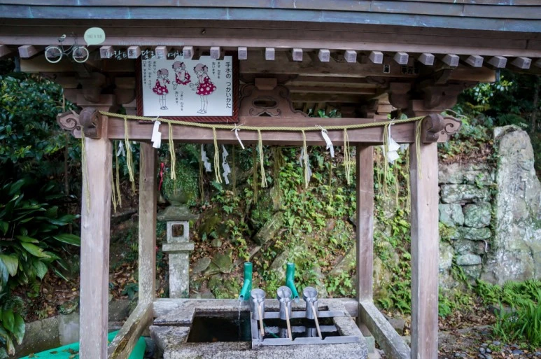 DSC07945_wide1080mark.jpg?type=w773