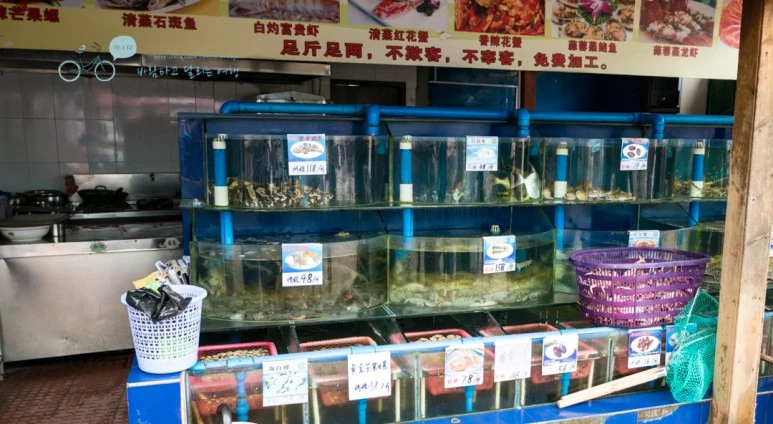 _1050291_wide1080mark.jpg?type=w773