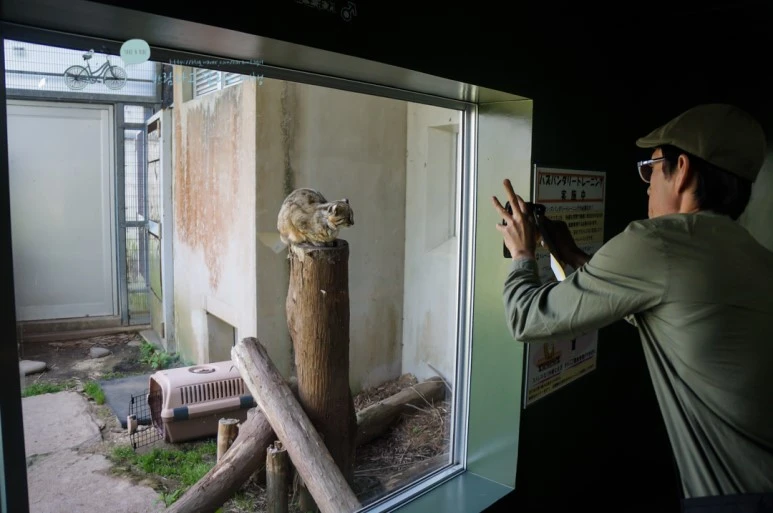 DSC08005_wide1080mark.jpg?type=w773