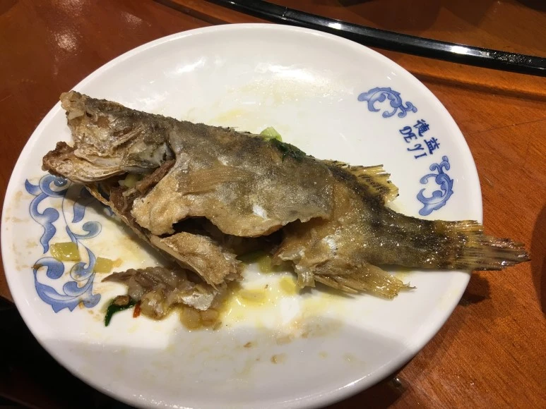 IMG_3530.jpg?type=w773