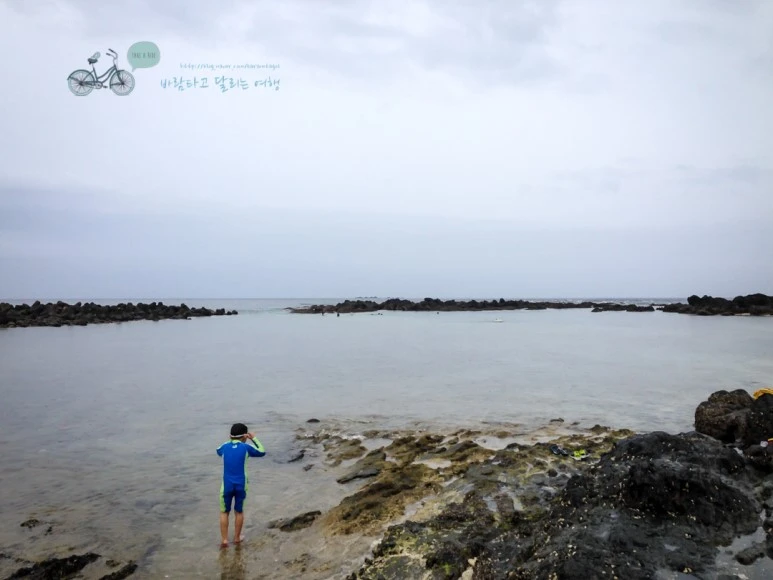 IMG_8079_wide1080mark.jpg?type=w773