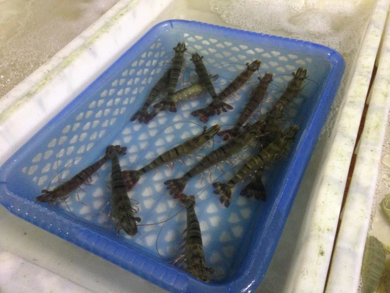 IMG_2731.JPG?type=w773