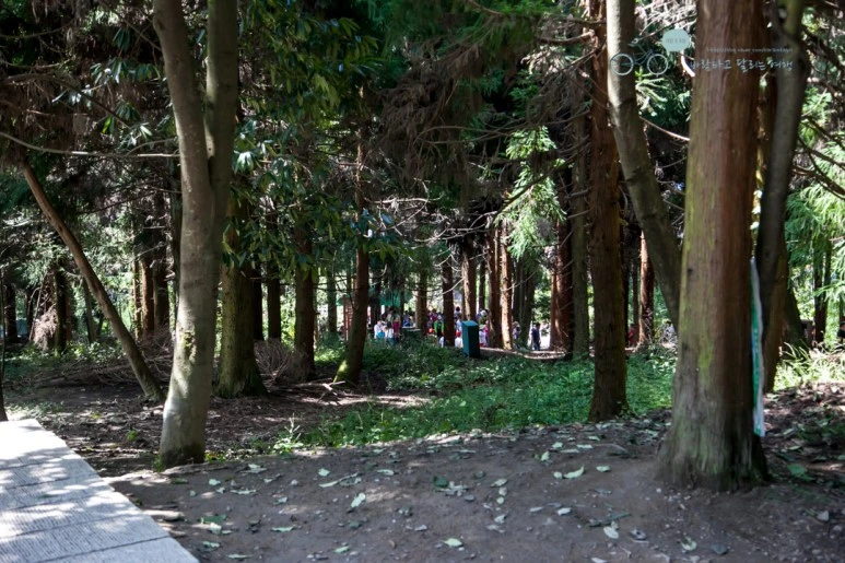 IMG_1230_Wide1080mark%EB%B0%94%EB%9E%8C.jpg?type=w773