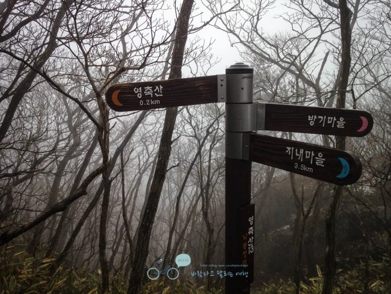 IMG_1898-_Wide1080mark.jpg?type=w773