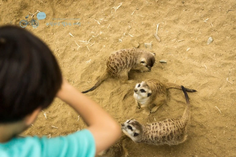 DSC03612_wide1080mark.jpg?type=w773