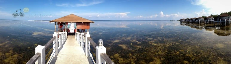 IMG_0451_Wide1080mark%EB%B0%94%EB%9E%8C%ED%83%80%EA%B3%A0.jpg?type=w773