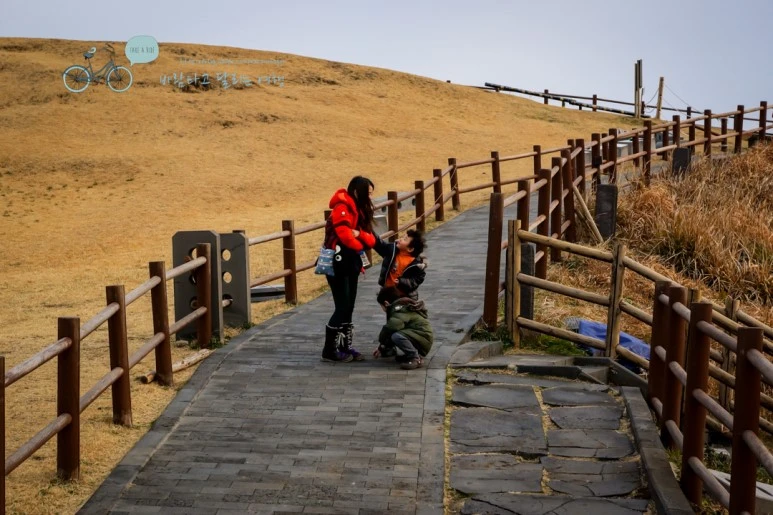 DSC00061_3.jpg?type=w773