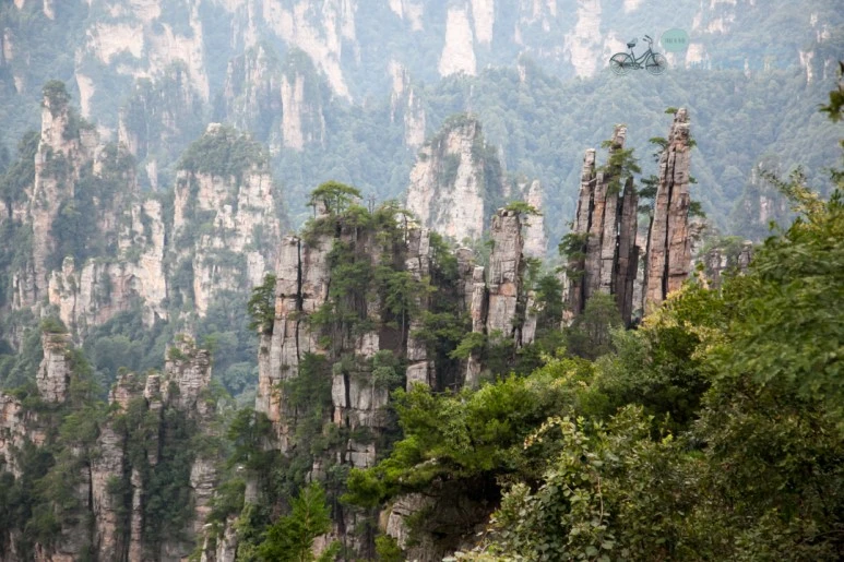 IMG_1191_Wide1080mark%EB%B0%94%EB%9E%8C.jpg?type=w773