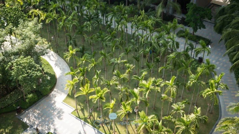 _1040335_Edit-_Wide1080mark%EB%B0%94%EB%9E%8C.jpg?type=w773