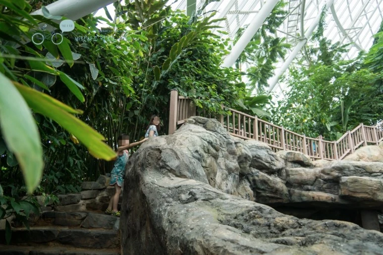 image_7617687711479184954532.jpg?type=w773