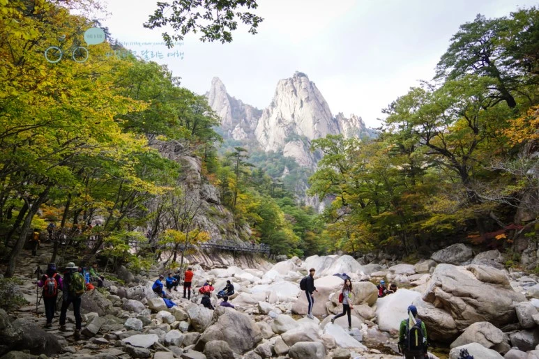 DSC05635_wide1080mark.jpg?type=w773