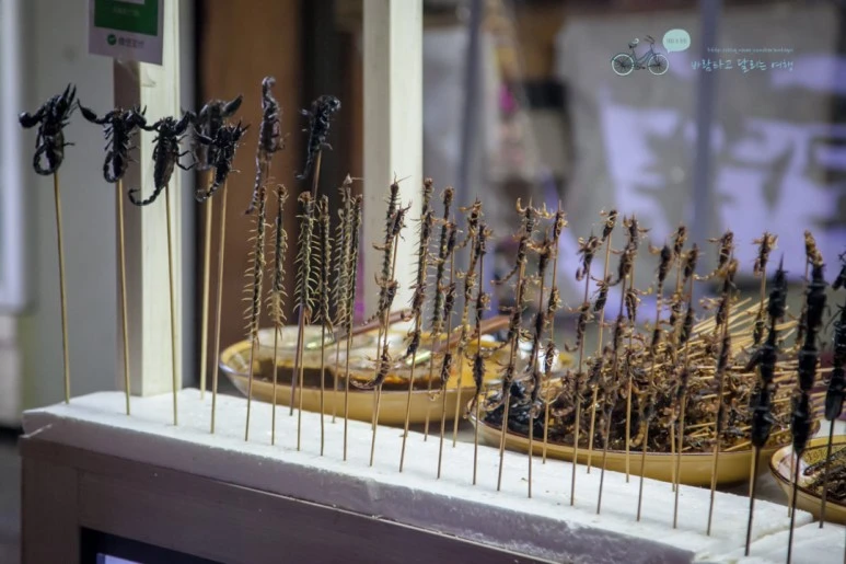 IMG_0982_Wide1080mark%EB%B0%94%EB%9E%8C.jpg?type=w773