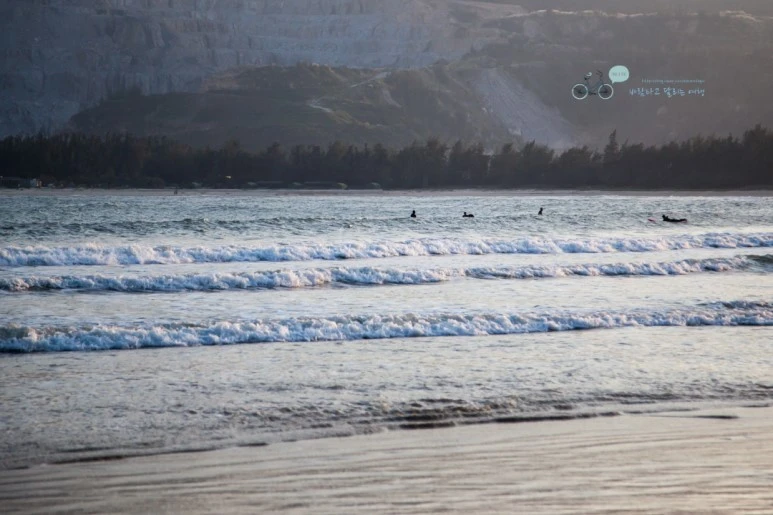 IMG_0806_wide1080%EB%B0%94%EB%9E%8Cmark.jpg?type=w773