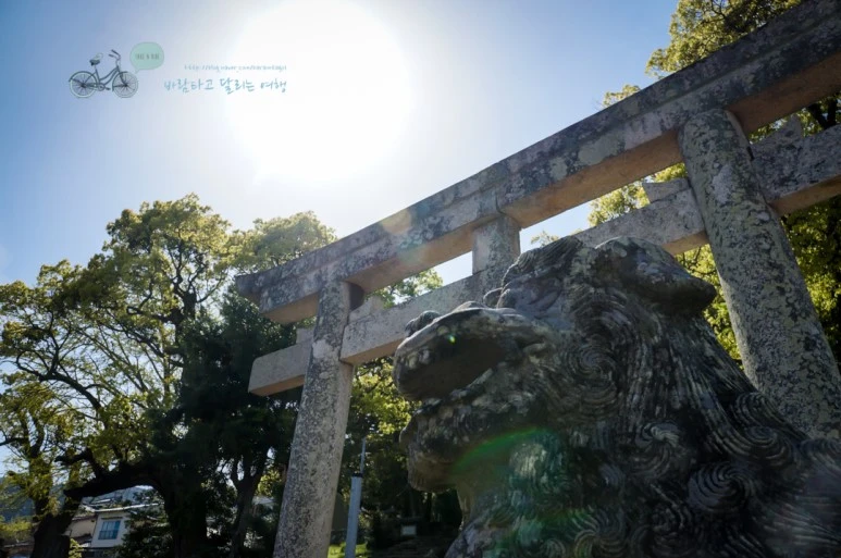 DSC07937_wide1080mark.jpg?type=w773