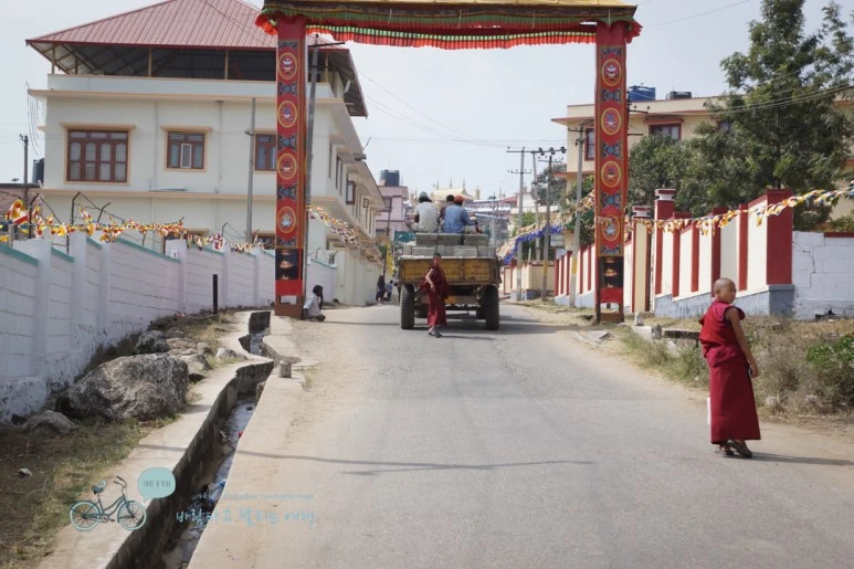 DSC00314.jpg?type=w773